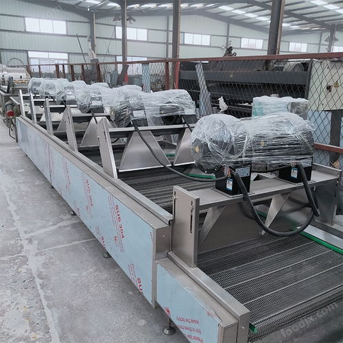 桑葚山楂多次翻轉(zhuǎn)瀝水風(fēng)干機(jī)設(shè)備